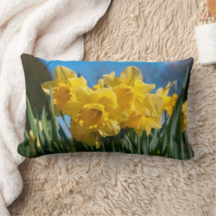 Beautiful Yellow Daffodils Lumbar Cushion