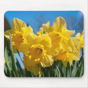 Beautiful Yellow Daffodils Mouse Pad