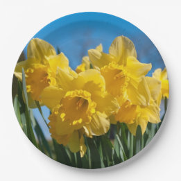 Beautiful Yellow Daffodils Paper Plate