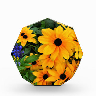 Beautiful Yellow Daisy Photo Block