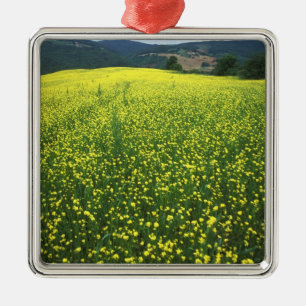 Beautiful yellow flower covered fields of San Metal Tree Decoration