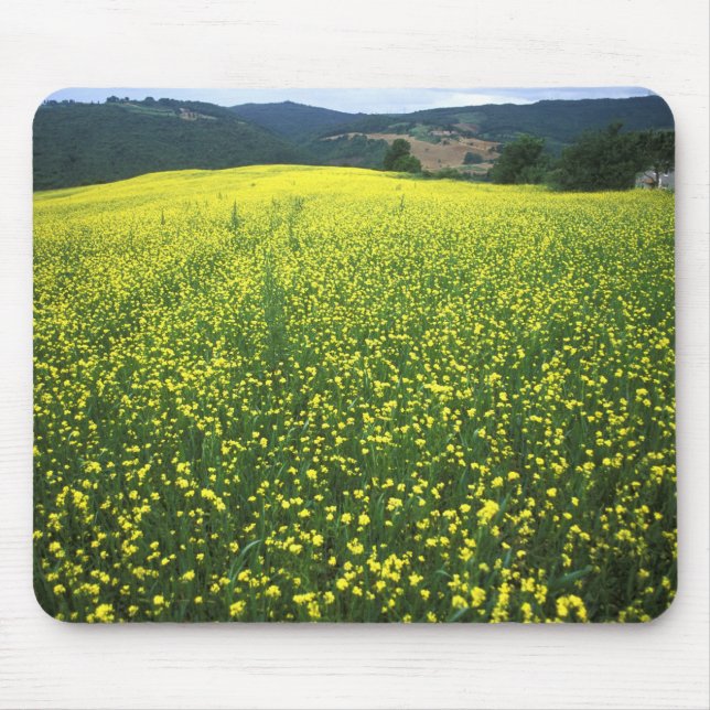 Beautiful yellow flower covered fields of San Mouse Pad (Front)