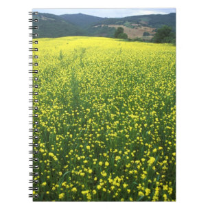 Beautiful yellow flower covered fields of San Notebook