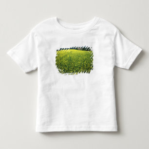 Beautiful yellow flower covered fields of San Toddler T-Shirt