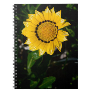 Beautiful Yellow Flower Notebook