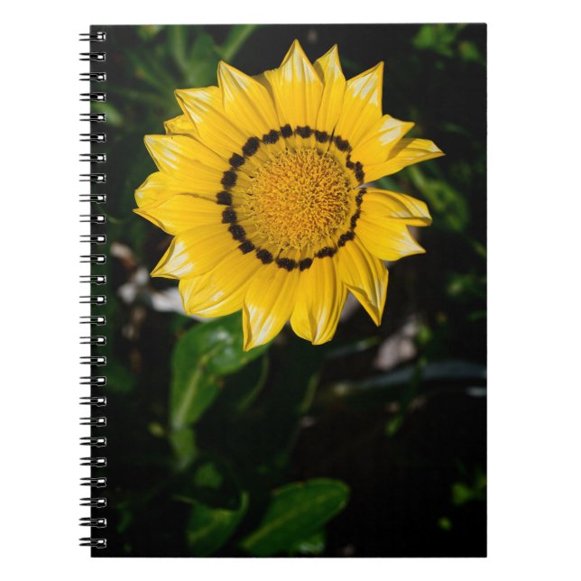 Beautiful Yellow Flower Notebook (Front)