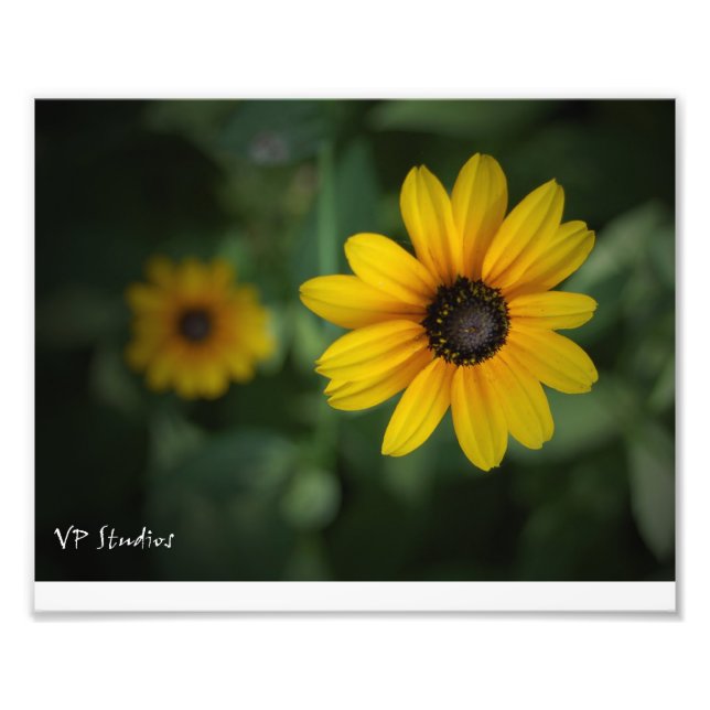 Beautiful yellow flowers! photo print (Front)