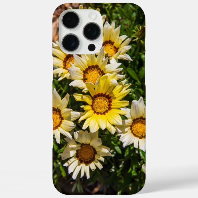 Beautiful yellow Gazania flowers in the garden Case-Mate iPhone Case (Back)