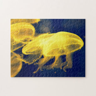 Beautiful Yellow Jellyfish Jigsaw Puzzle