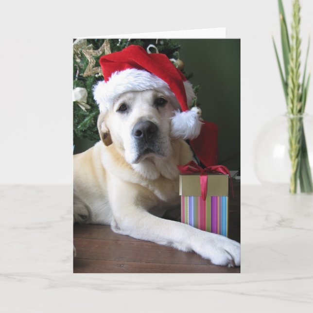 Beautiful Yellow Labrador Santa Holiday Card (Front)