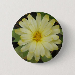 Beautiful Yellow Marigold Button