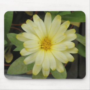 Beautiful Yellow Marigold Mousepad