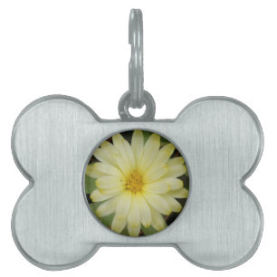 Beautiful Yellow Marigold Pet Tag
