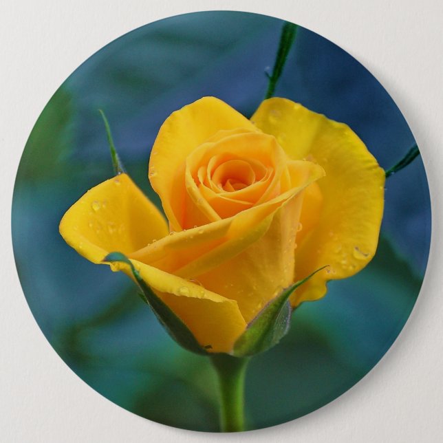 Beautiful yellow rose 6 cm round badge (Front)
