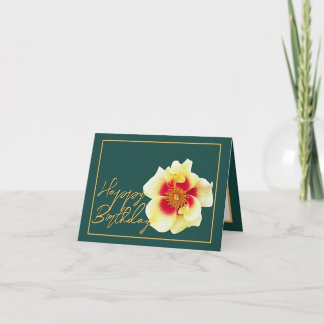 Beautiful Yellow Rose Chic Pretty Happy Birthday Card (Front)