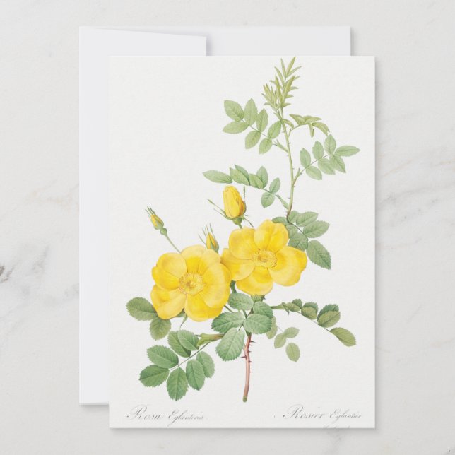 Beautiful Yellow Rose Flower Garden  Invitation (Front)