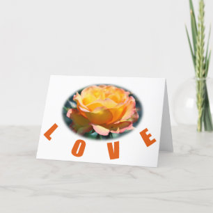 beautiful yellow rose flower photo art love gift holiday card