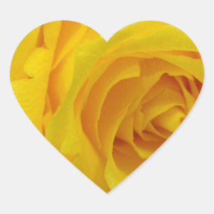 beautiful yellow rose flower photography heart sticker