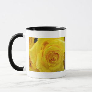 beautiful yellow rose flower photography mug