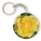 Beautiful yellow rose