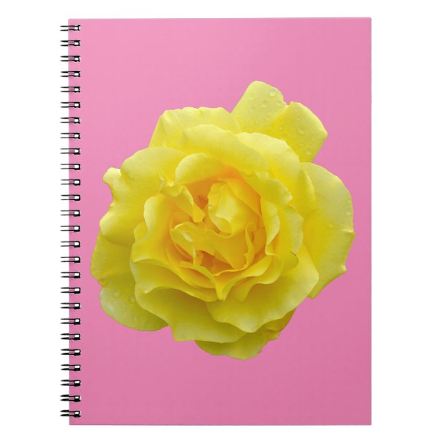Beautiful yellow rose notebook (Front)