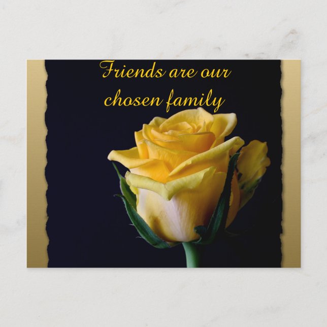 Beautiful Yellow Rose on Black Friendship Postcard (Front)