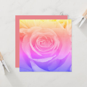 Beautiful Yellow Rose Photography