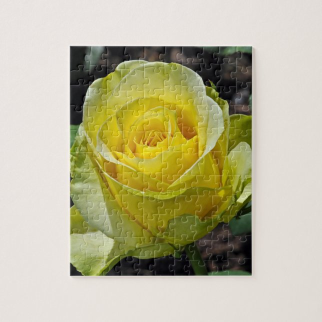 Beautiful yellow rose puzzle (Vertical)
