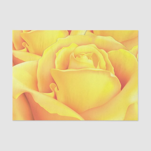 Beautiful Yellow Rose Tissue Paper (Front)