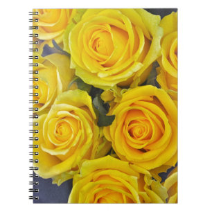 Beautiful yellow roses notebook