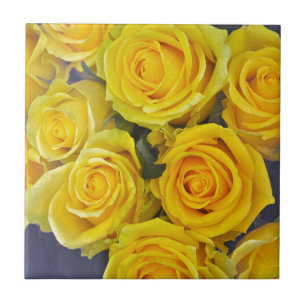 Beautiful yellow roses tile
