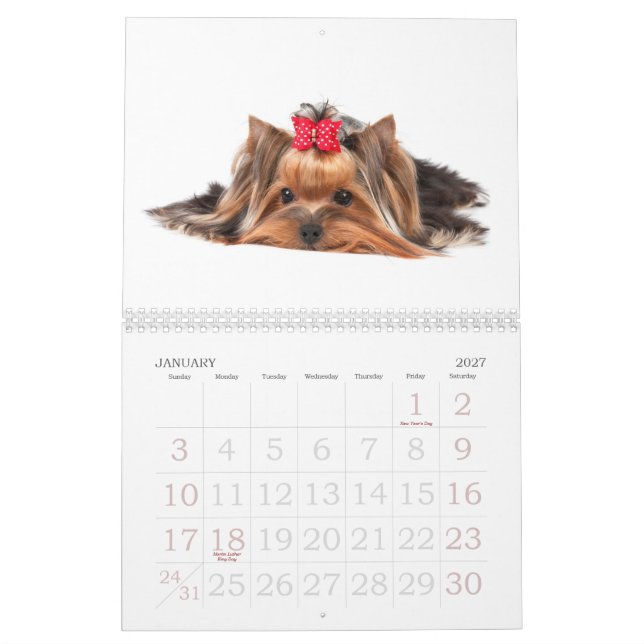 Beautiful Yorkshire Terriers Calendar (Jan 2027)