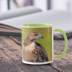 Beautiful Young Red-Tailed Hawk Mug