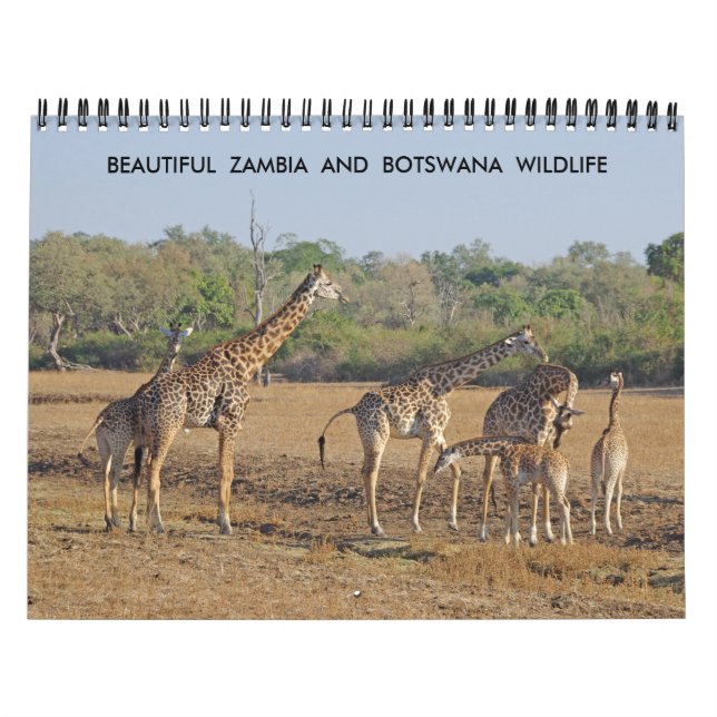 BEAUTIFUL ZAMBIA AND BOTSWANA WILDLIFE CALENDAR (Cover)