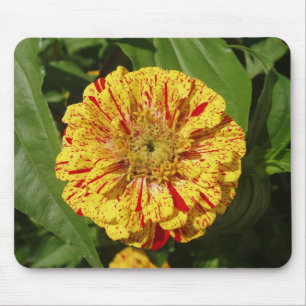 Beautiful Zinnia Mouse Pad