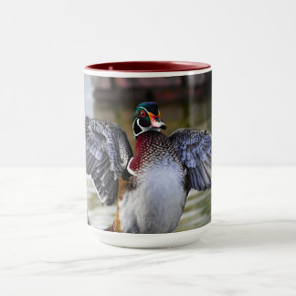 Beautifully Striking Wood Duck Florida Photography Mug