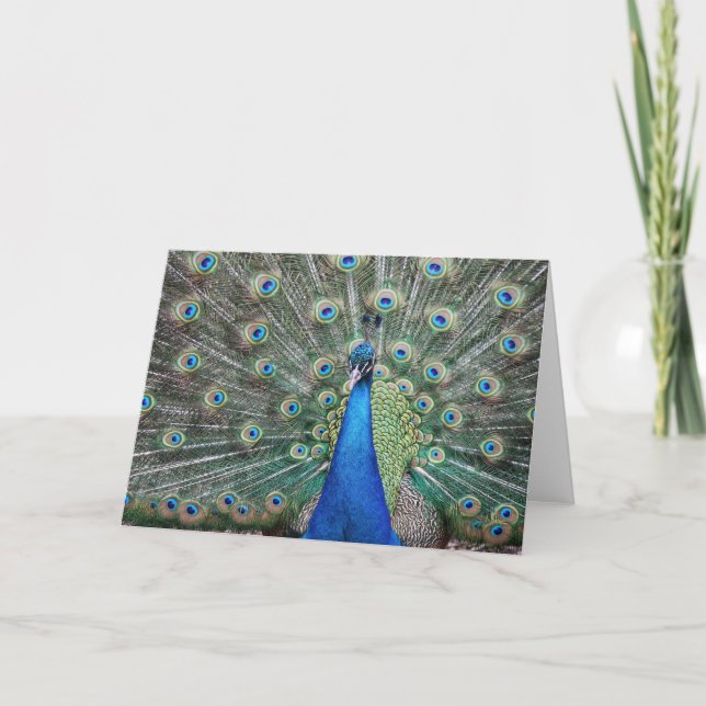 BeautifulPeacock Thank You Card (Front)