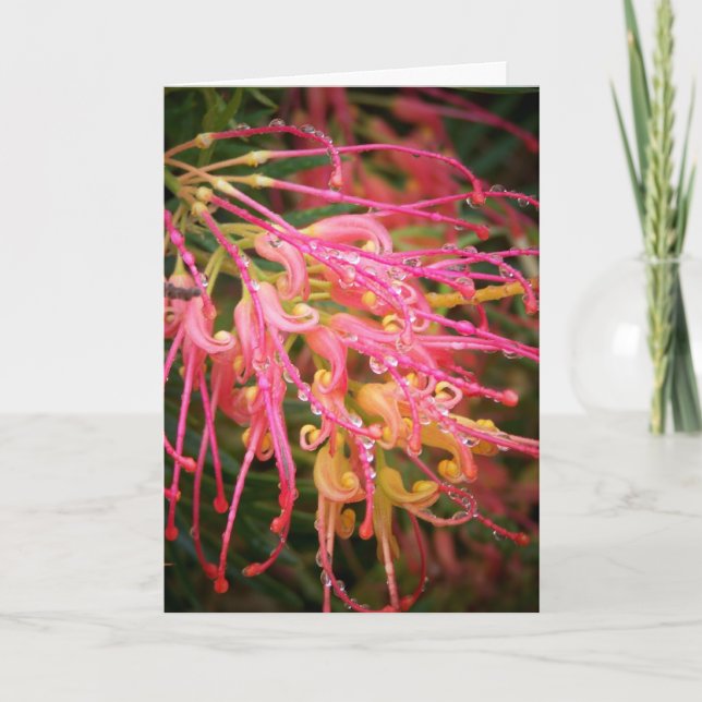 Beauty After the Rain.. Card (Front)