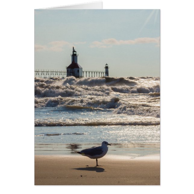 Beauty And Force (Front)