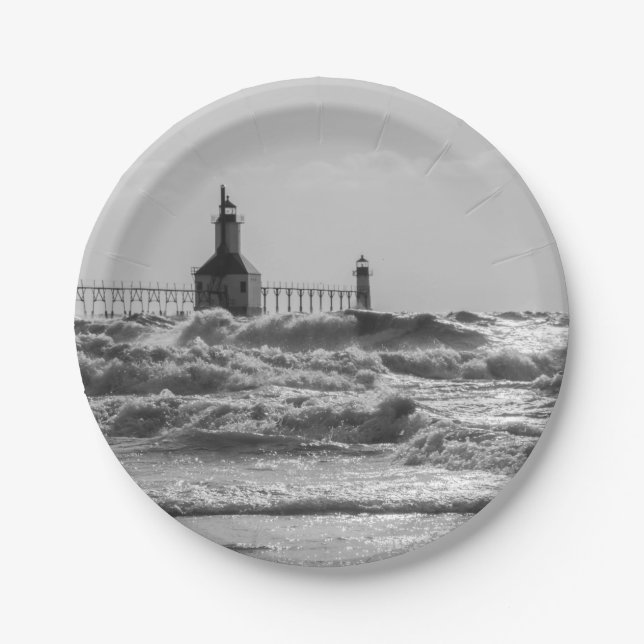 Beauty And Force Grayscale Paper Plate (Front)