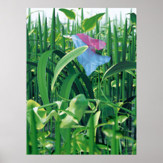 Beauty and the beasts poster