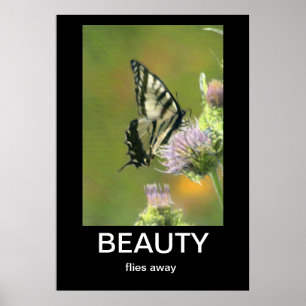 Beauty Demotivational Poster