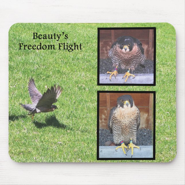Beauty Freedom Flight Mousepad (Front)