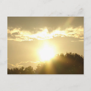 Beauty In A Sunrise Postcard
