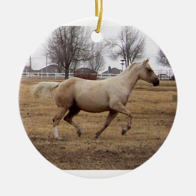 Beauty in Motion ornament (Front)