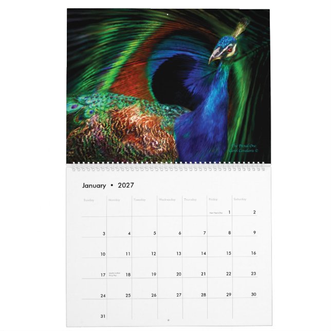 Beauty In Nature - Bird Collection Calendar 2012 (Jan 2027)