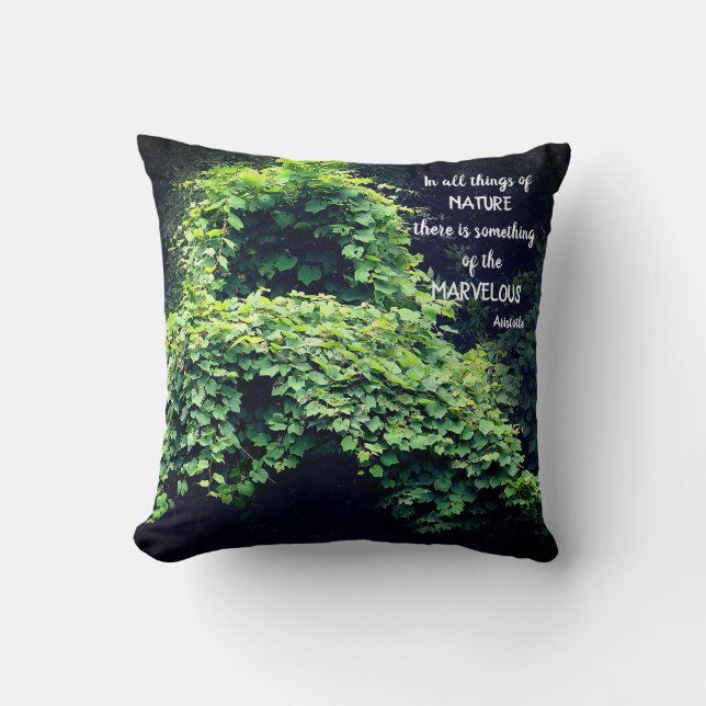 Beauty In Nature Vines Inspirational Quote  Cushion (Front)