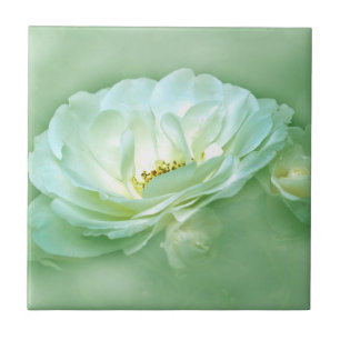 BEAUTY IN THE MIST - GREEN CERAMIC TILE