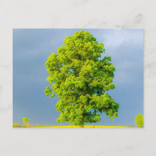 Beauty in the Storm Postcard
