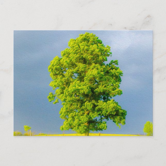 Beauty in the Storm Postcard (Front)